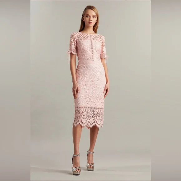 Tadashi Shoji | Dresses | Nwt Tadashi Shoji Bobek Primrose Lace 